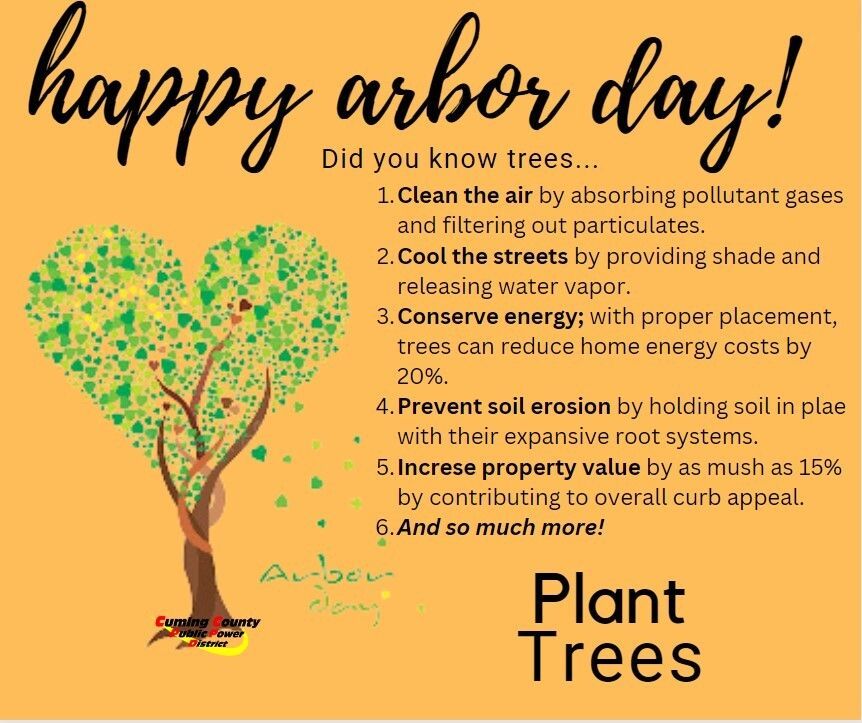 CumingCountyPPD's tweet photo. Happy Arbor Day! Please plant trees dutifully around power lines. When planting trees within 20 feet of an overhead power line, you should choose small trees that grow no more than 15 feet high. Please call CCPPD with any questions about planting around power lines and equipment. https://t.co/MTlD5SdhLk