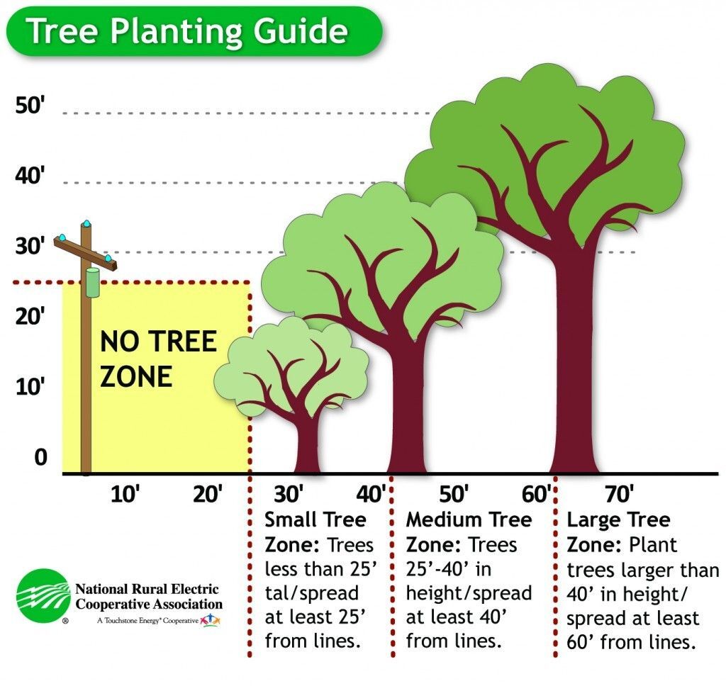 CumingCountyPPD's tweet photo. Happy Arbor Day! Please plant trees dutifully around power lines. When planting trees within 20 feet of an overhead power line, you should choose small trees that grow no more than 15 feet high. Please call CCPPD with any questions about planting around power lines and equipment. https://t.co/MTlD5SdhLk