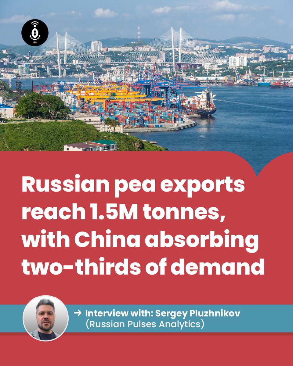 GlobalPulsesGPC's tweet image. Sergey Pluzhnikov, CEO of Russian Pulses Analytics, shares a picture of Russian pulses as we move into the seeding season.

pulsepod.globalpulses.com/trade-talk/pos… 

#GPC #Pulses #RussianPulses #Peas #ChinesePeas