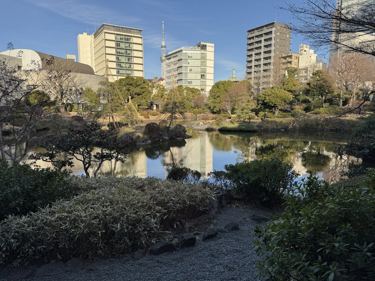 VYZNDR's tweet photo. @shamakuma I went exploring Sumida on holiday earlier this year because of Paranormasight! Next time I visit Japan, I have to visit Ise and Kamishima 🐢 https://t.co/hXY3e9dNrQ