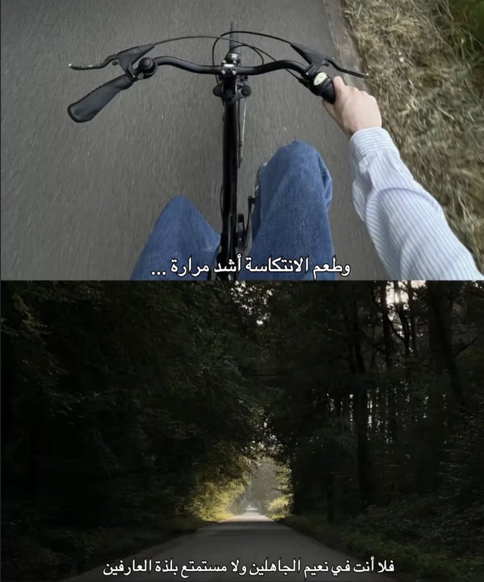 هَيْثَم. tweet media