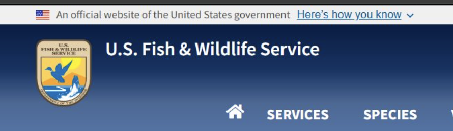 Meme Creator tweet media