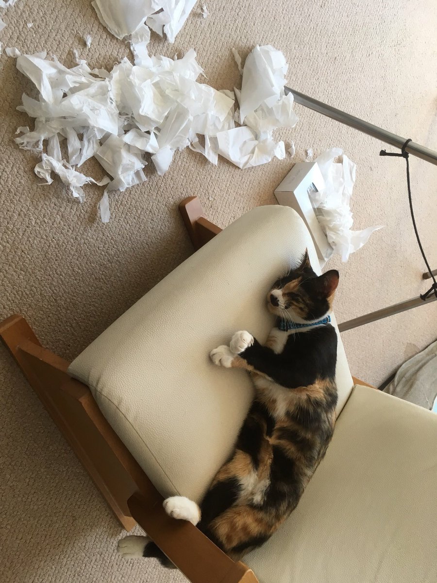 八次郎 tweet media