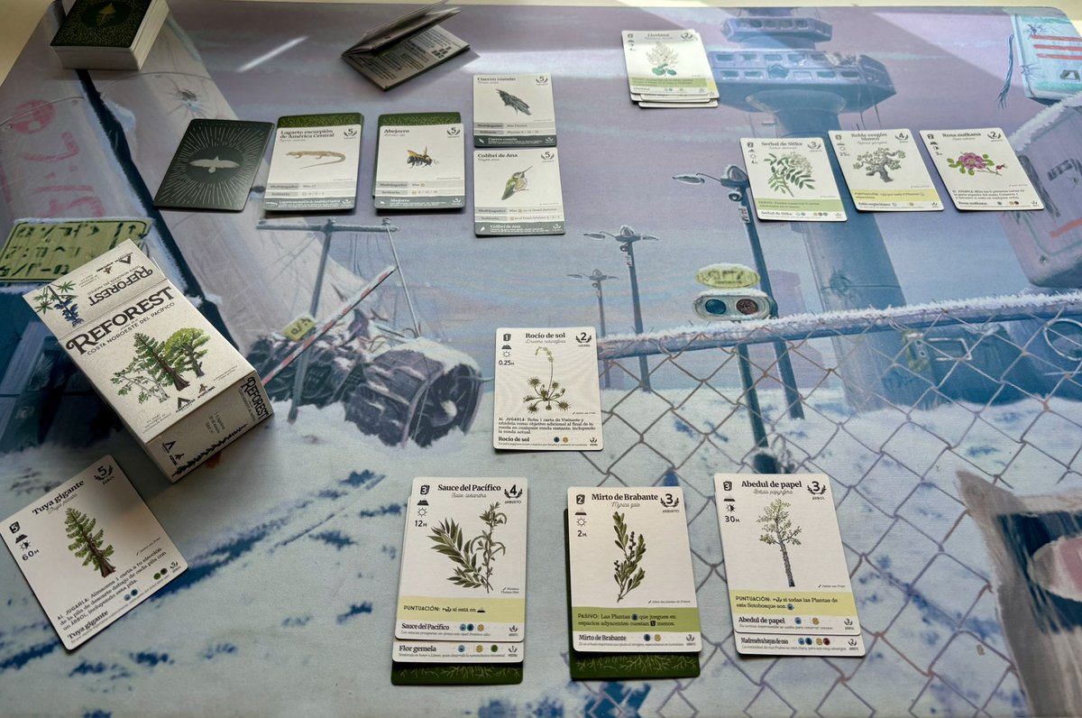 Seba_81's tweet photo. Oye, pues muy disfrutable este Reforest de @MalditoGamesES . Nunca una barajita con plantitas habían generado un desafío tan chulo. No llega al nivel de Forest Shuffle pero para partidas en solitario de 15min cumple de mil maravillas . #juegodemesa #boardgames https://t.co/dL8hfq7q6F