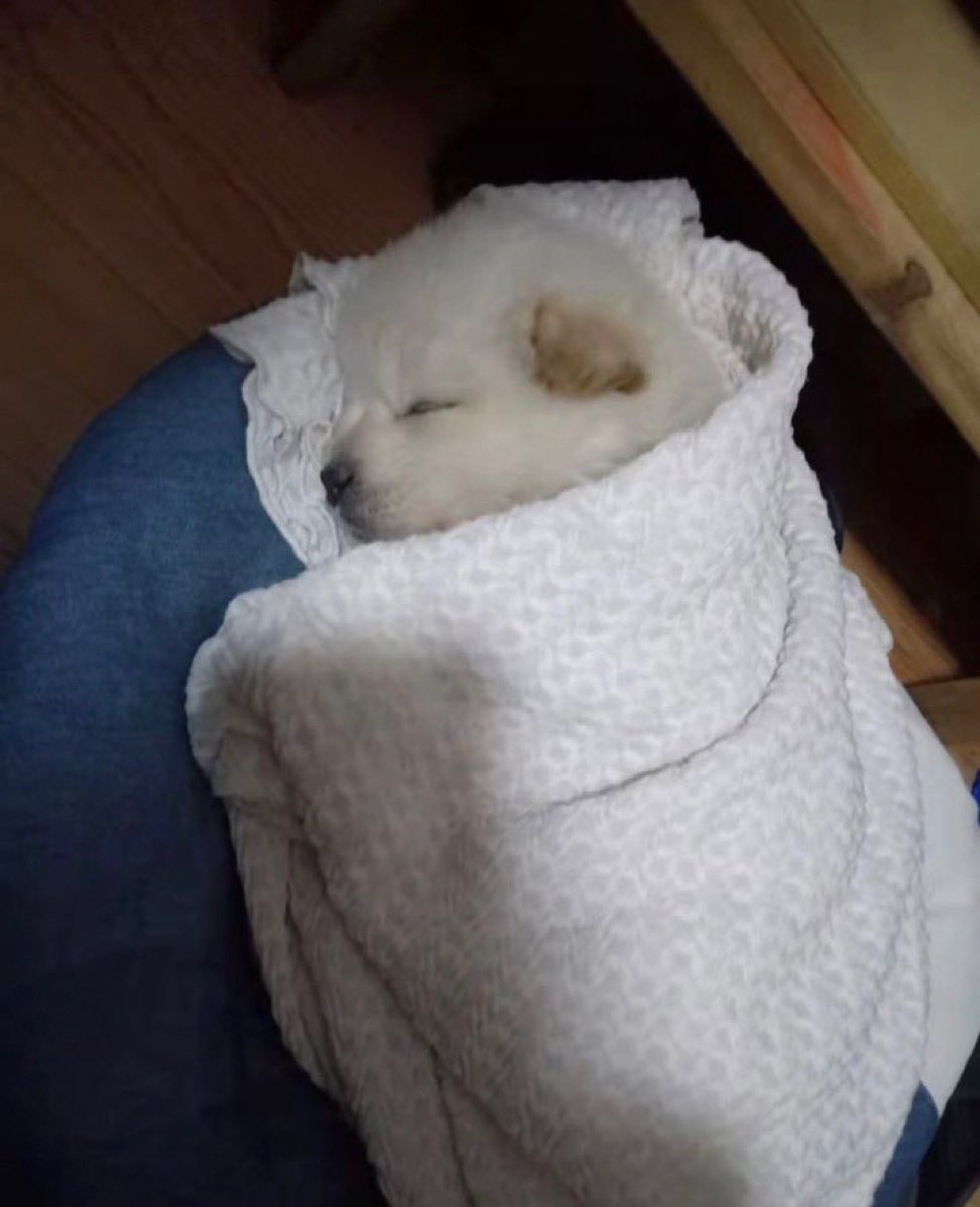 분대장넴 주무실시간이지말입니다