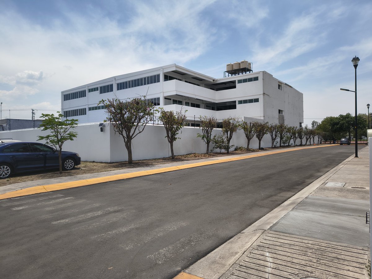 AlejandrA F. de Erruzca 💎 tweet media