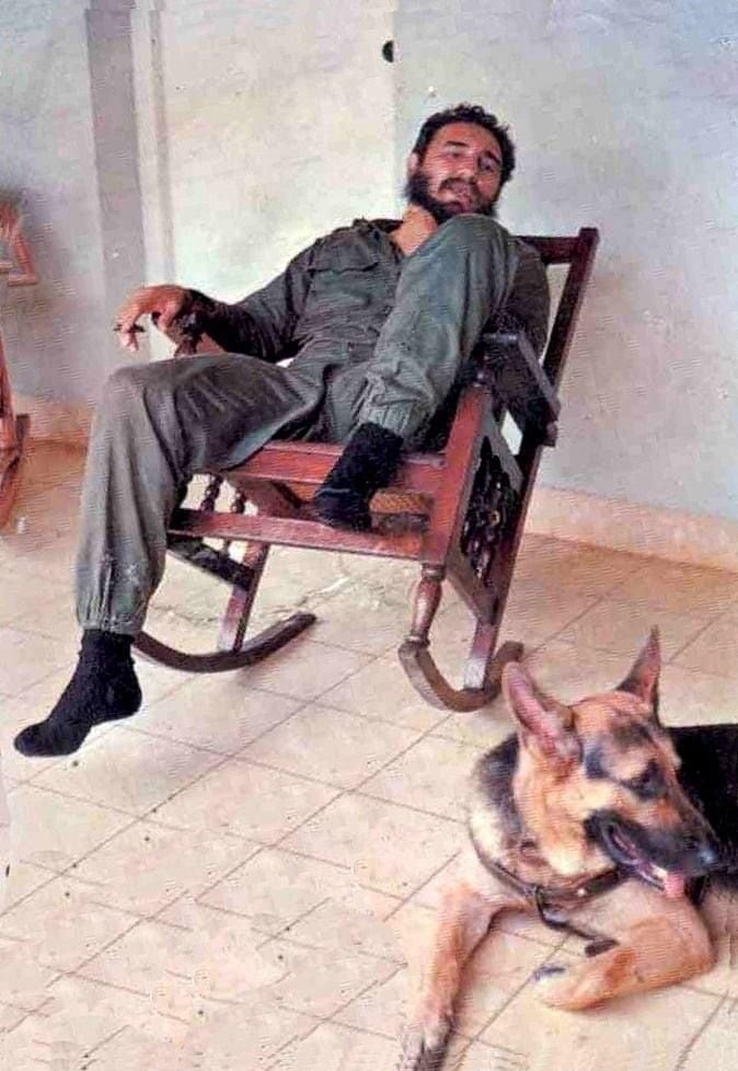 Antifa_Ultras tweet media