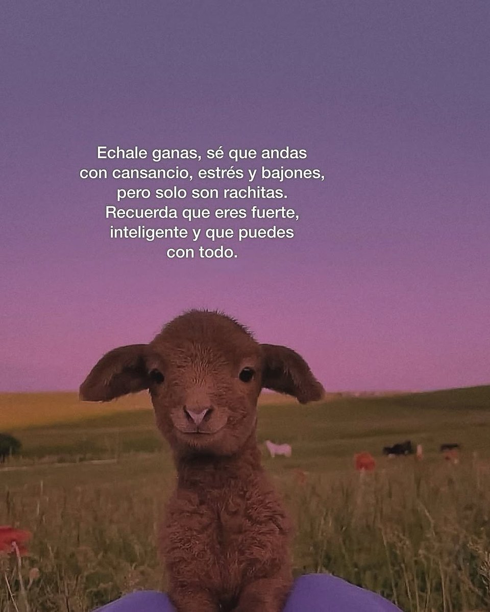 Escritos (@aquilolei) on Twitter photo 