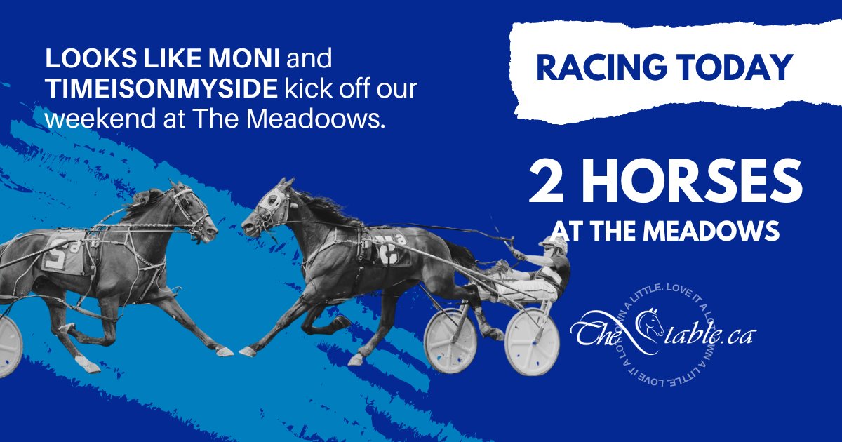 TheStableCanada's tweet photo. A dynamic duo at The Meadows to take us into the weekend:

https://t.co/rWoXCIITc5

#ownalittleloveitalot https://t.co/hucw1qEJwZ