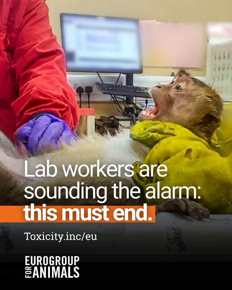 Eurogroup For Animals tweet media