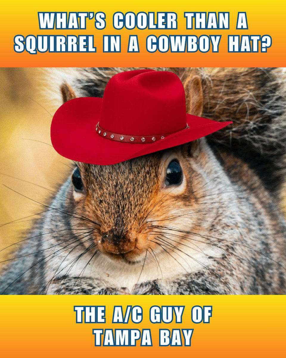 TheACGuyofTampa's tweet image. 😂🤣 Happy #FunFriday! 😂🤣