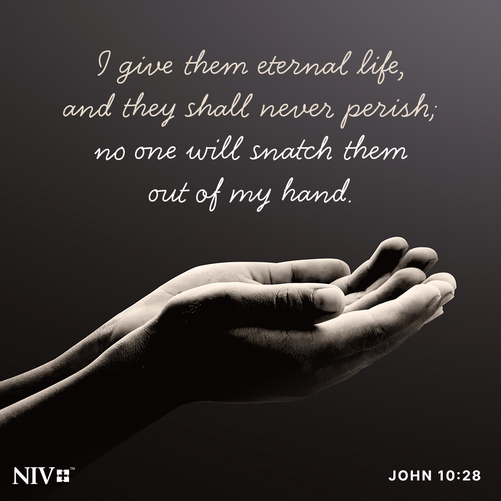 NIVBible's tweet photo. I give them eternal life, and they shall never perish; no one will snatch them out of my hand. My Father, who has given them to me, is greater than all; no one can snatch them out of my Father’s hand. I and the Father are one.” John 10:28-30 https://t.co/2MZMCi7NKF