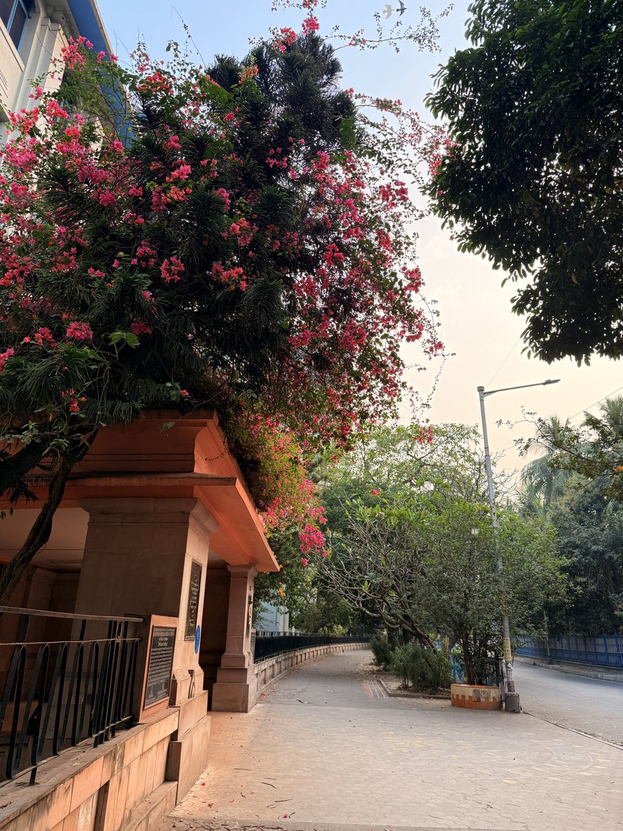 Dr Aratrika Ganguly tweet media