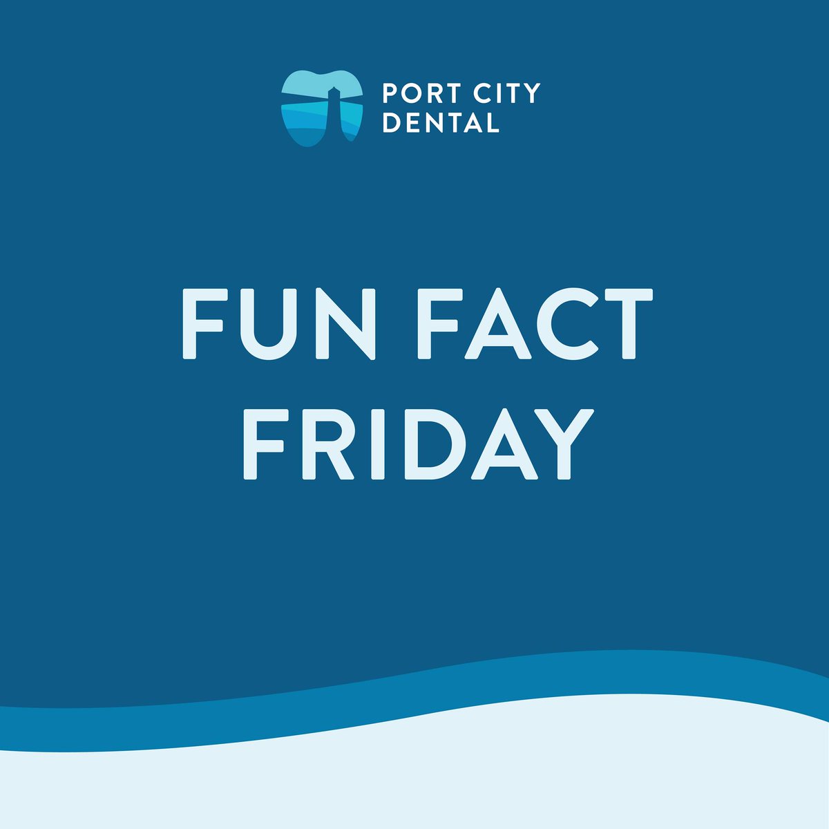 Port City Dental tweet media