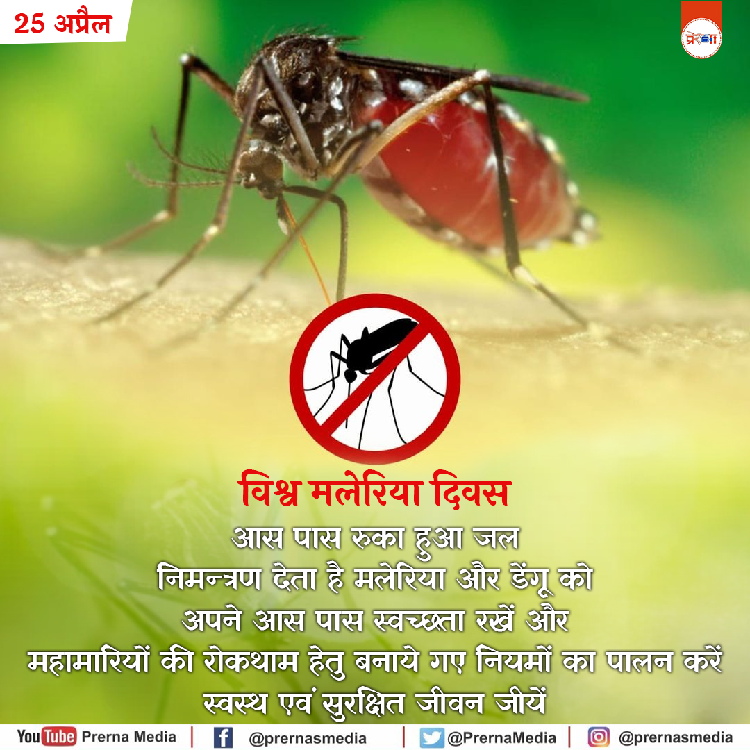 PrernaMedia's tweet image. World Malaria Day | विश्व मलेरिया दिवस |

विश्व मलेरिया दिवस के अवसर पर आइए हम सब मिलकर अपनी सुरक्षा का संकल्प लें। 

याद रखें कि मलेरिया से बचाव की शुरुआत हमारे अपने घर के वातावरण से होती है। 

#WorldMalariaDay #Wellness #PublicHealth #TraditionalMedicine #WMD2026  #ZeroMalaria
