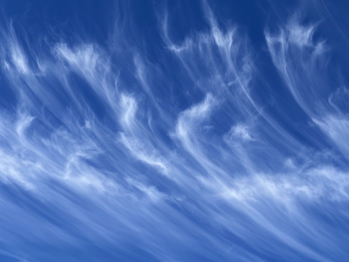 liam_lovell's tweet image. Some great Cirrus formations over Carlisle ☀️🌤️ #clouds #loveukweather