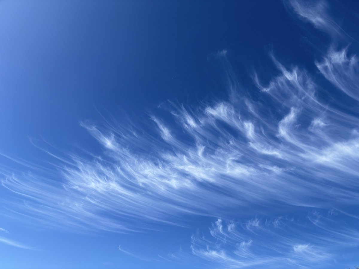 liam_lovell's tweet image. Some great Cirrus formations over Carlisle ☀️🌤️ #clouds #loveukweather