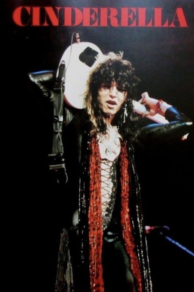 daily tom keifer tweet media