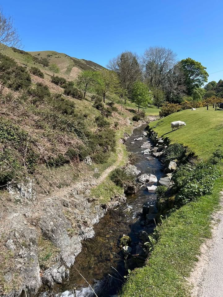 GeorgeSalterAc's tweet image. Y10 Geography students visited Carding Mill Valley this week, to complete their GCSE fieldwork. 😀 Students enjoyed the beautiful weather and successfully gathered all their required data. 📊 Thank you to students for their fantastic behaviour! 🌄 #SalterScholar #GCSE #Geography