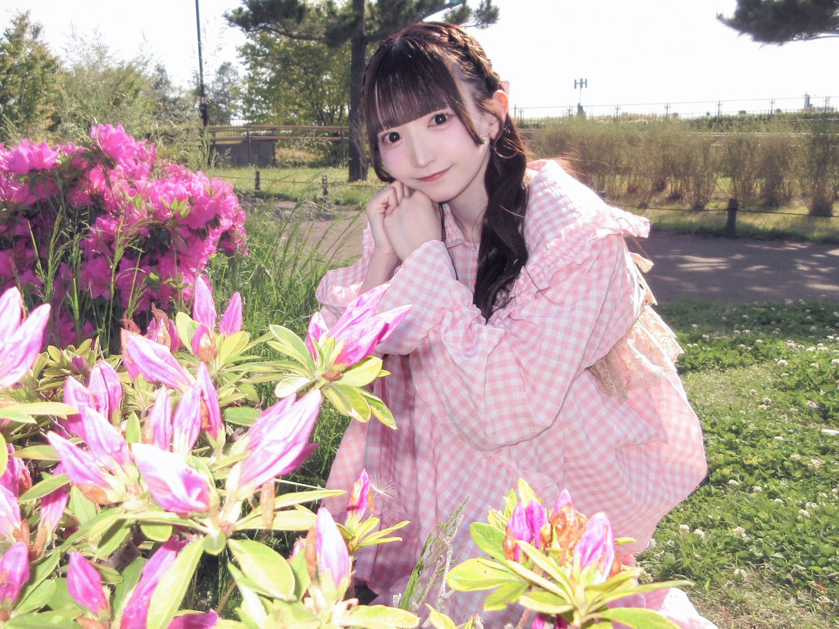 花井 詩 ｛ かすみ草とステラ ｝ tweet media