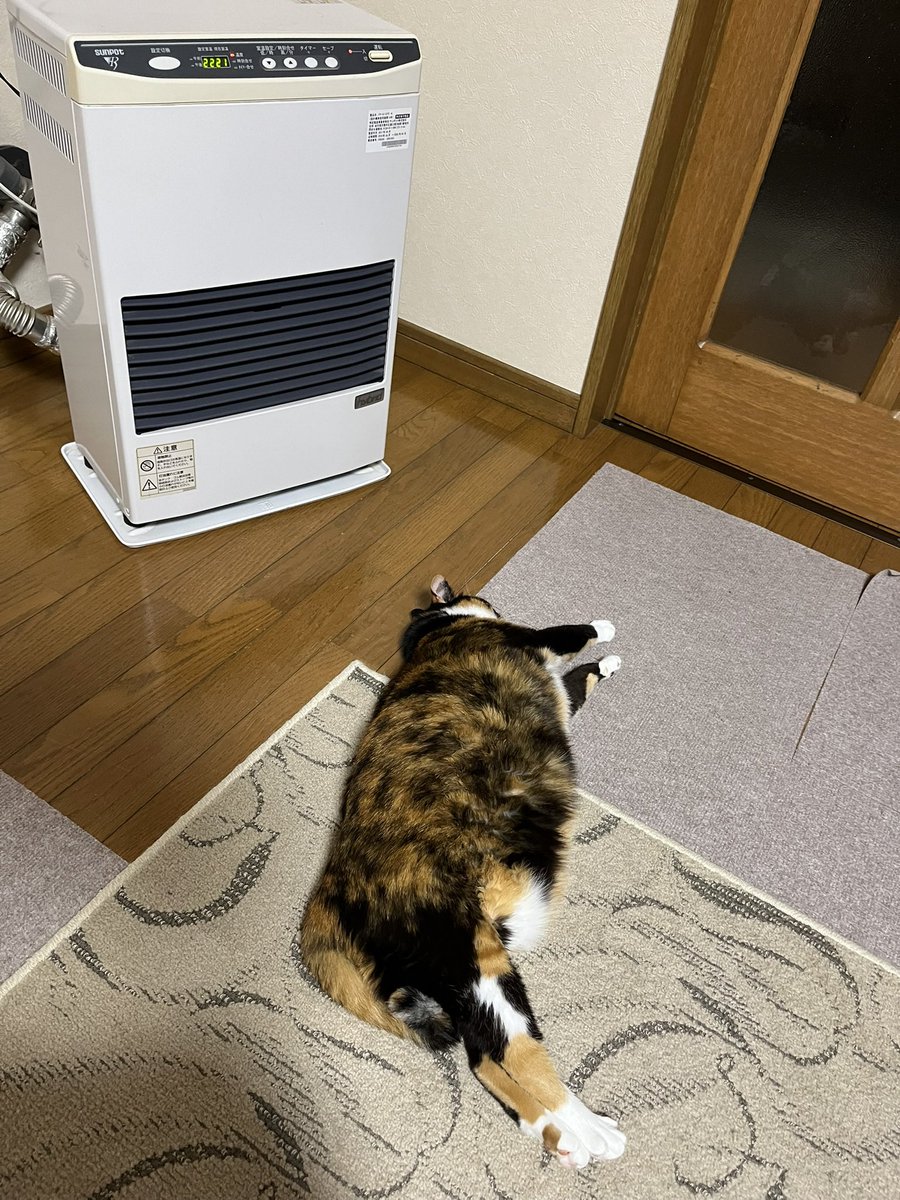 八次郎 tweet media