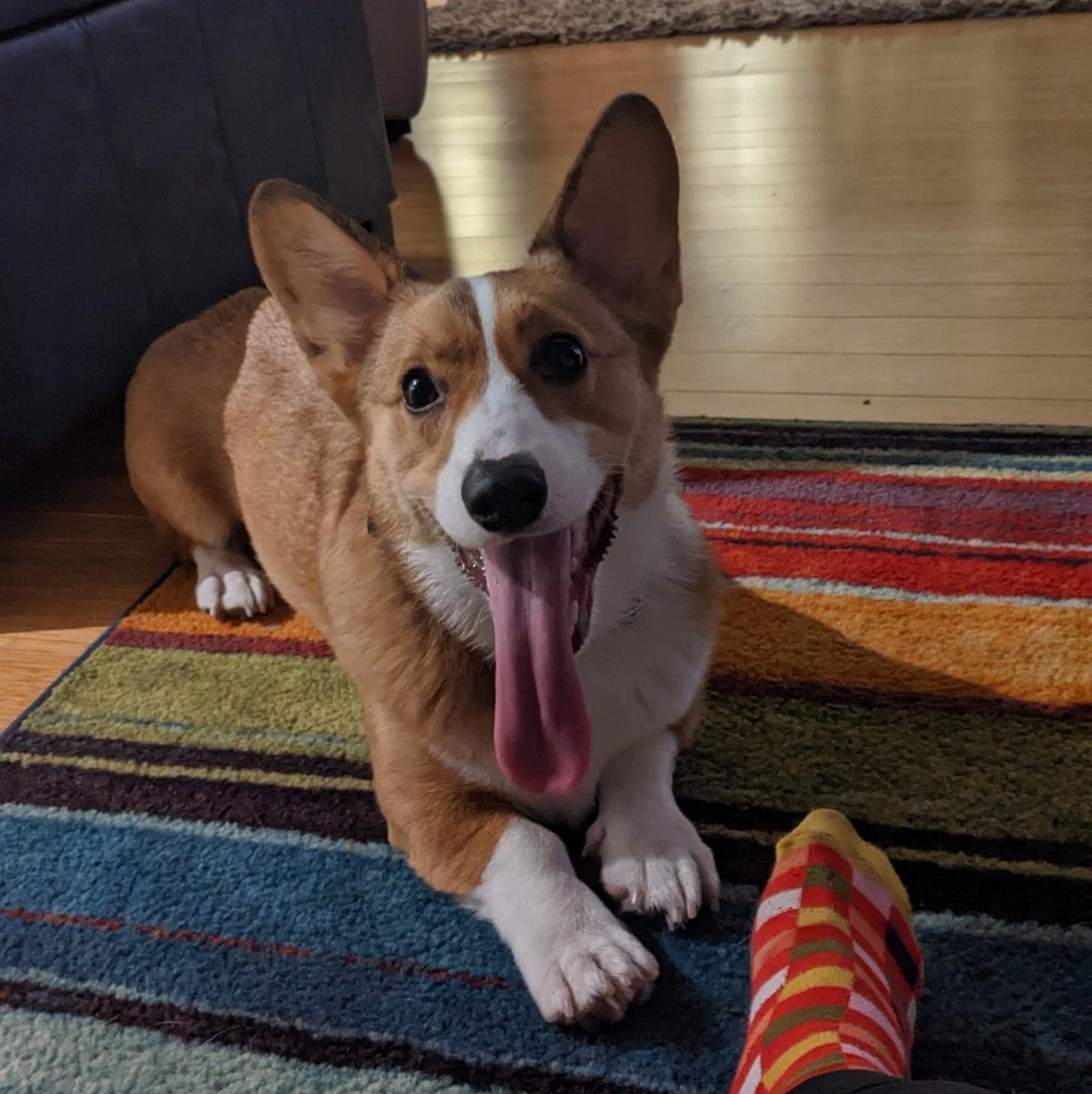 SpecialK366 tweet media