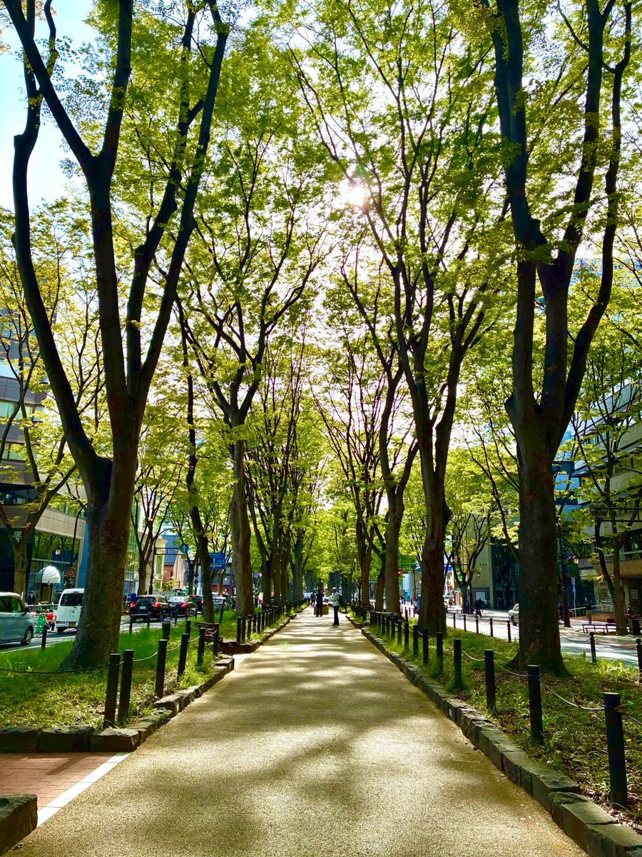 jozenji_stjzfst's tweet photo. 毎日良い写真が撮れる季節になってきました🌳🎷

明日は"JOZENJI STREETJAZZ NIGHT"がスタート📣

定禅寺通から入ってすぐ
@LRJz20250630 
ぜひお越しください🙌 https://t.co/HeRqD8LXdw