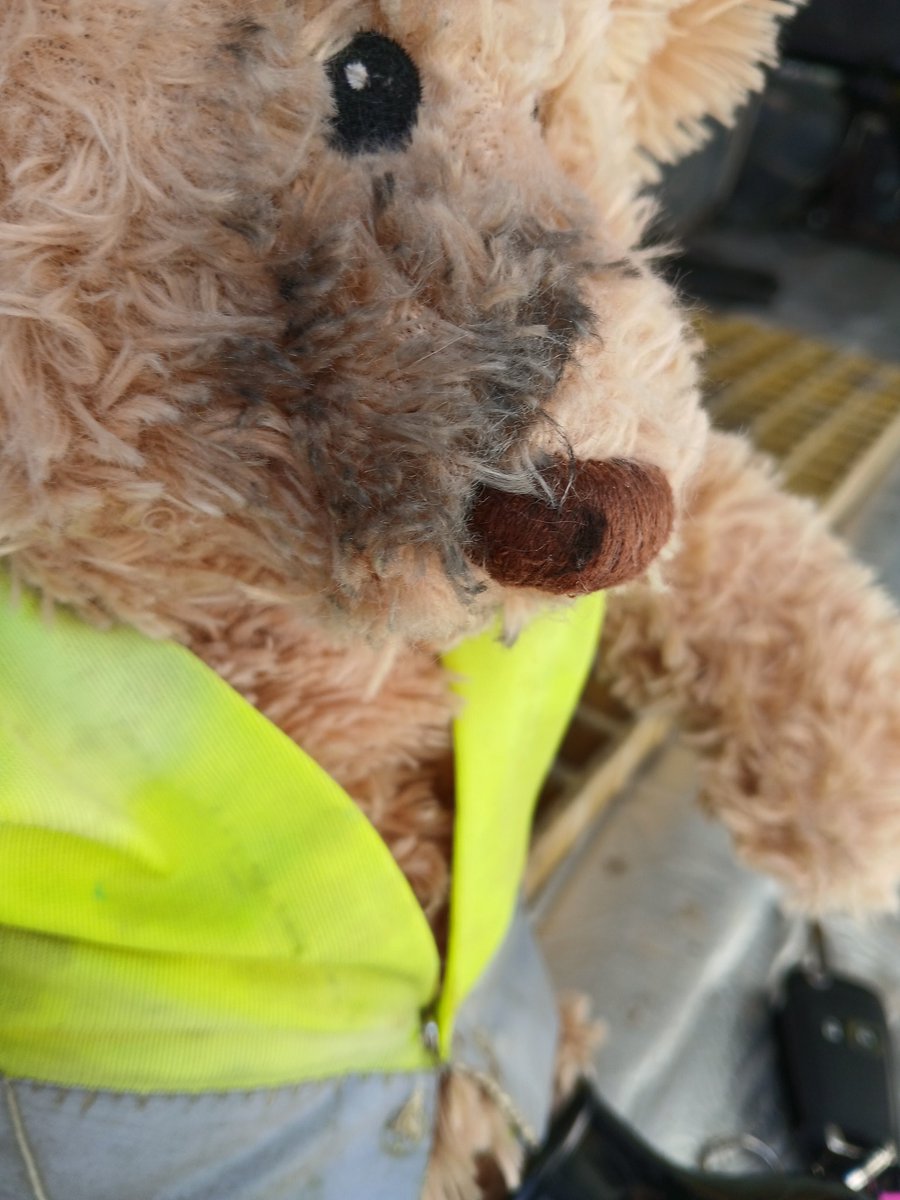 Edward🐻 tweet media