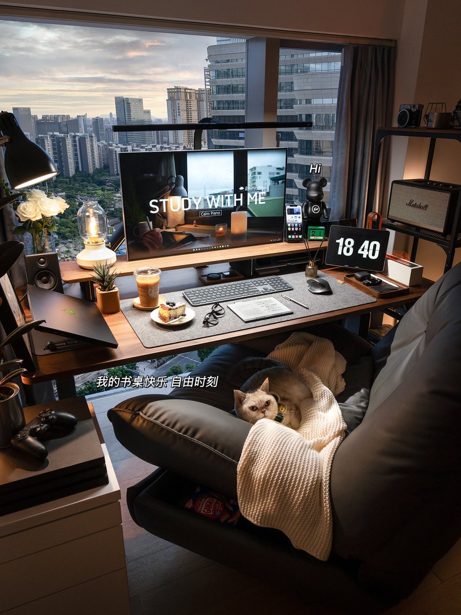 XAVIER ROCHA tweet media