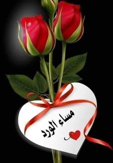 يحيى الملكي 💚💚 tweet media