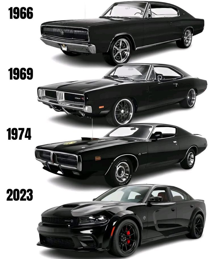 Vintage Cars Collection tweet media