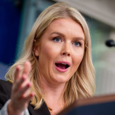 DonkConnects ♻️™ tweet media