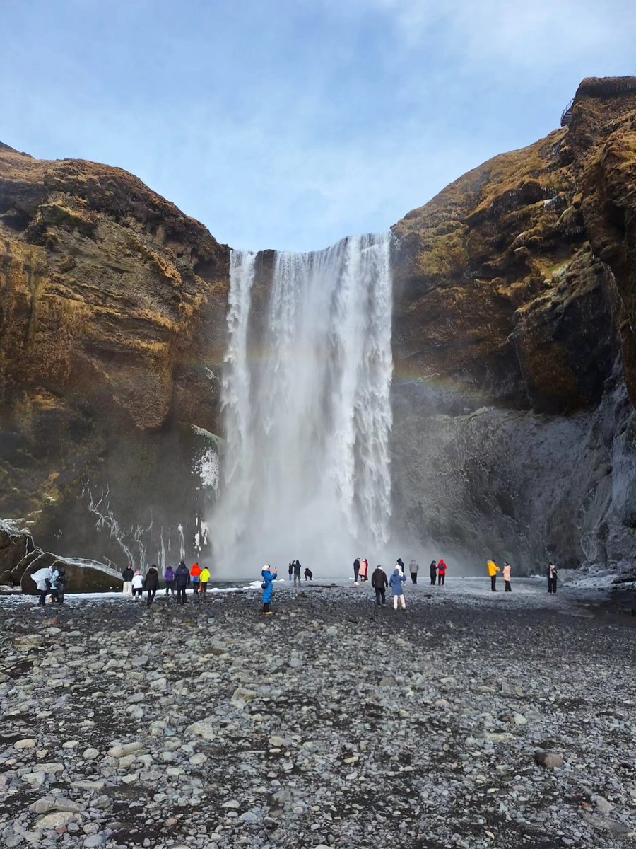 BusTravel Iceland tweet media