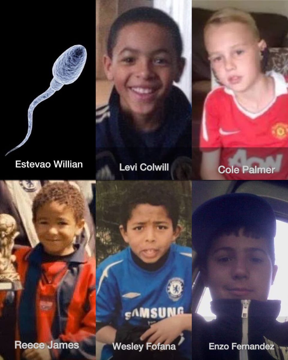 Lone Wolf 📸💡🦅 tweet media