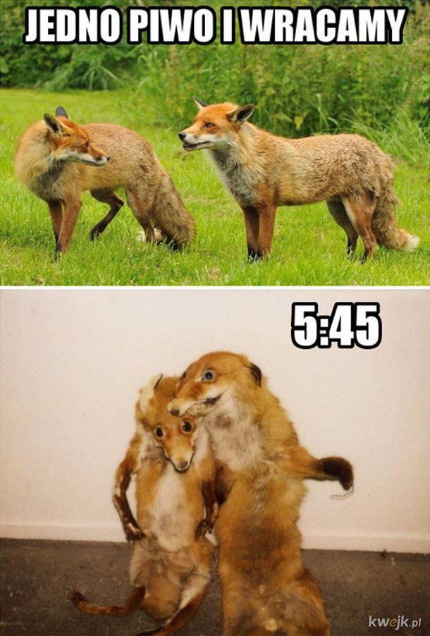 Fifarafa tweet media