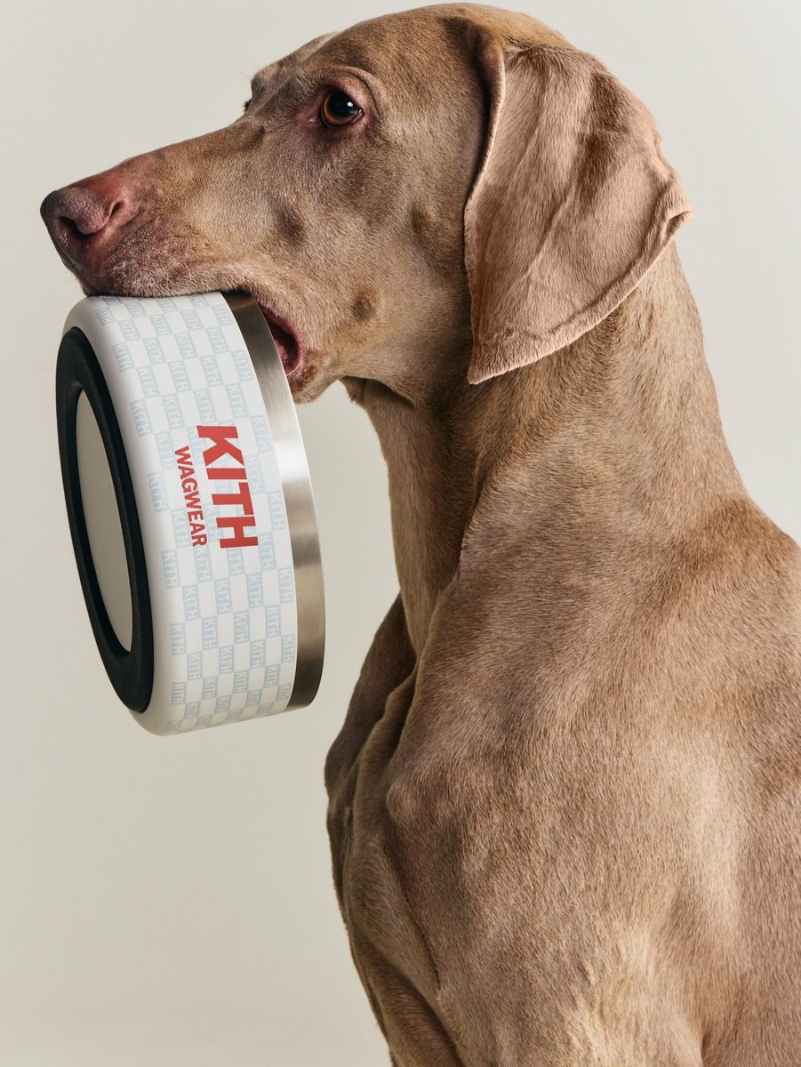 ChefDoomy's tweet photo. Kith for wagwear is Kith’s first-ever pet collection, designed in partnership with NYC-based brand wagwear.

Releasing Monday at 11 AM EST as part of next week’s Monday Program. Early access today for Kith Loyalty members.

📸: @KITH https://t.co/YiuzjTA48w
