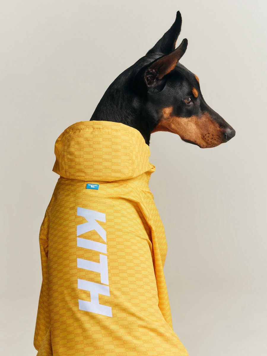 ChefDoomy's tweet photo. Kith for wagwear is Kith’s first-ever pet collection, designed in partnership with NYC-based brand wagwear.

Releasing Monday at 11 AM EST as part of next week’s Monday Program. Early access today for Kith Loyalty members.

📸: @KITH https://t.co/YiuzjTA48w
