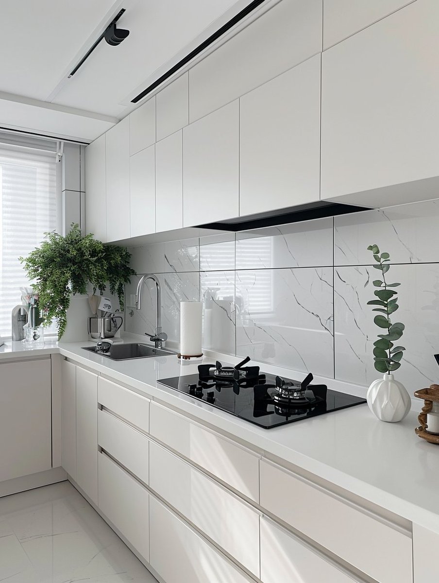 Micael Rodrigues tweet media