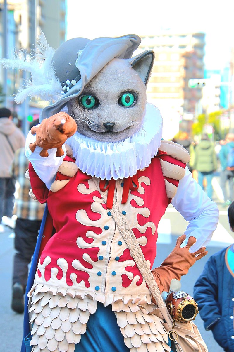 Arthur_of_cat's tweet photo. 前に亀戸でおさんぽ🐾した時の写真が残ってたからあげるよ～✋😸✨
ひろにぃお写真ありがとね📷✨

#ねこさんぽ
#エンカメ
#亀戸大道芸
#ロービング
#スタチュー https://t.co/82n1telkX6