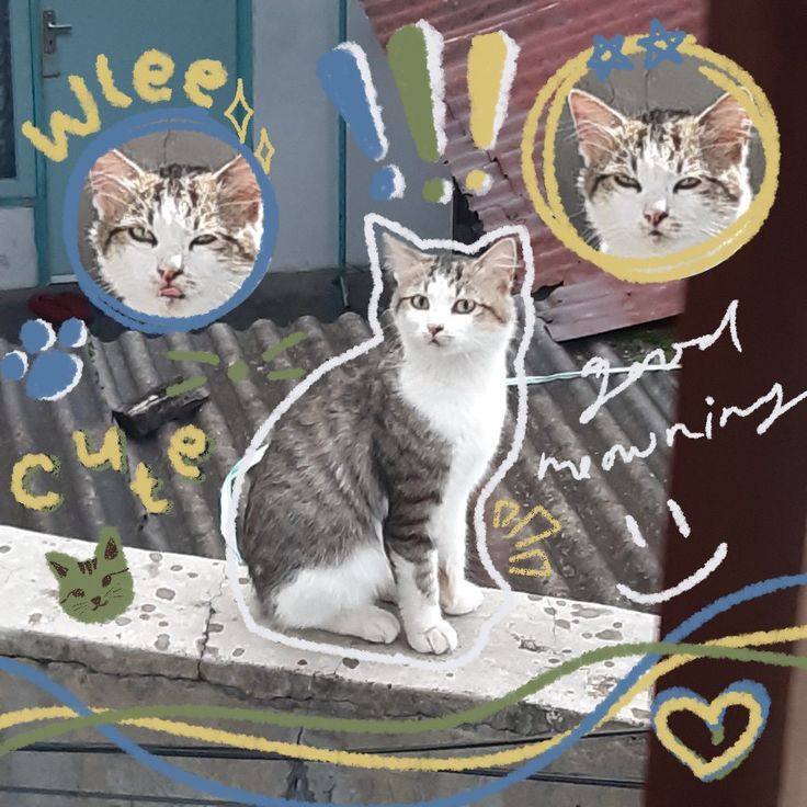 gwenn.🦫 tweet media