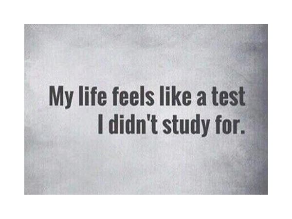 Perhaps sometimes we all feel a bit like this.
