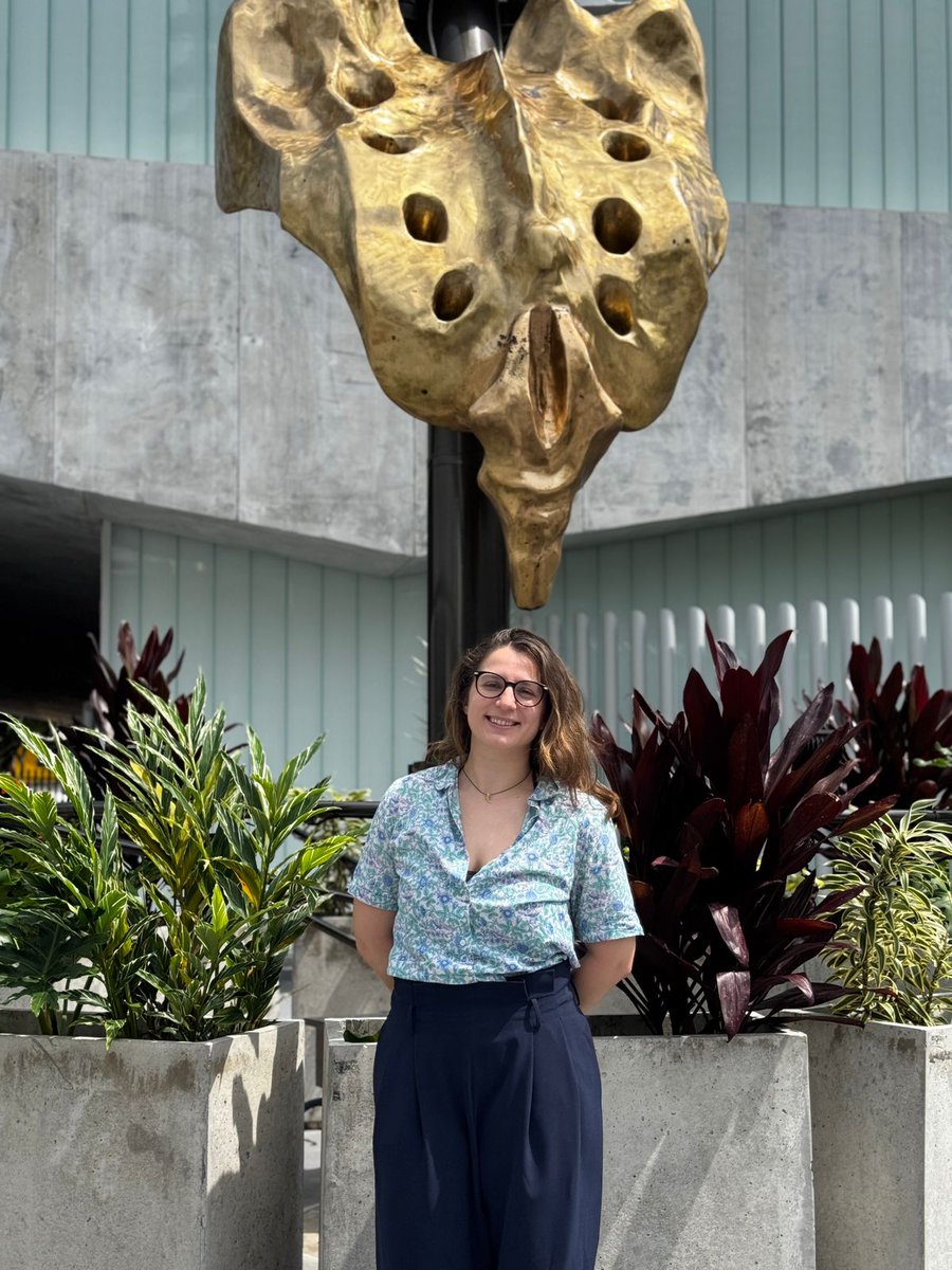 Facultad Salud UIS tweet media