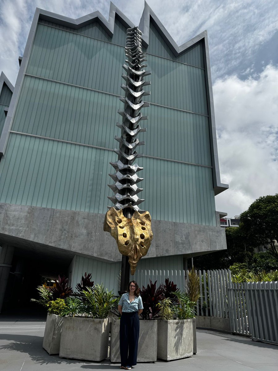 Facultad Salud UIS tweet media
