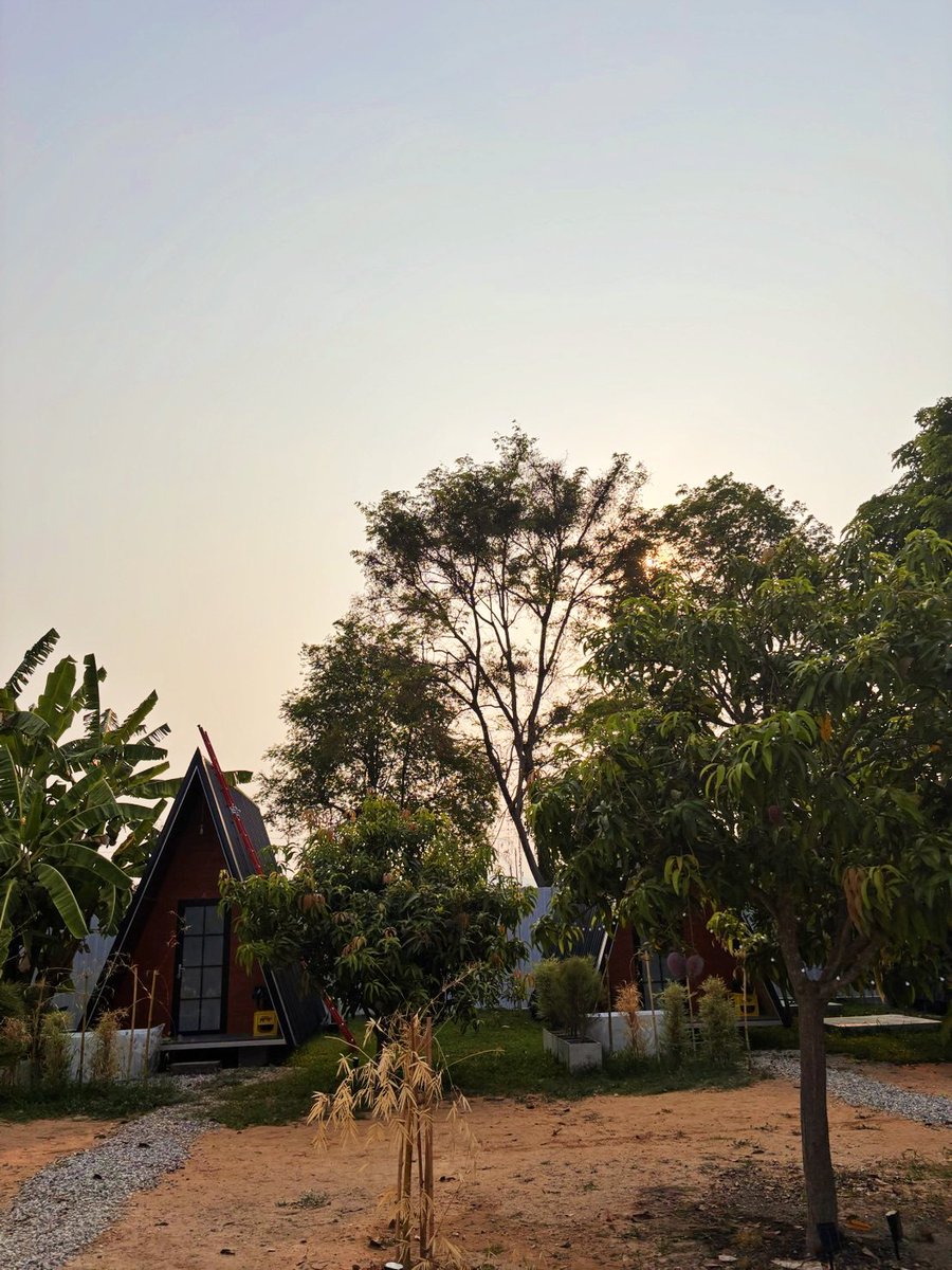 Freelance PLK tweet media