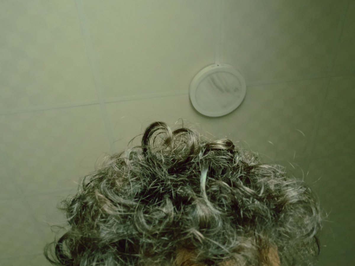 فريد في منه كتير tweet media