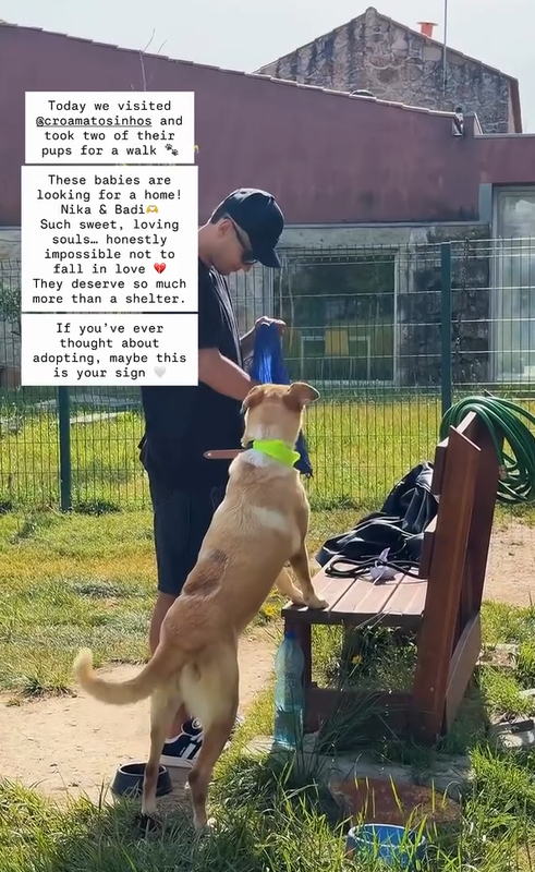 Portal dos Dragões tweet media