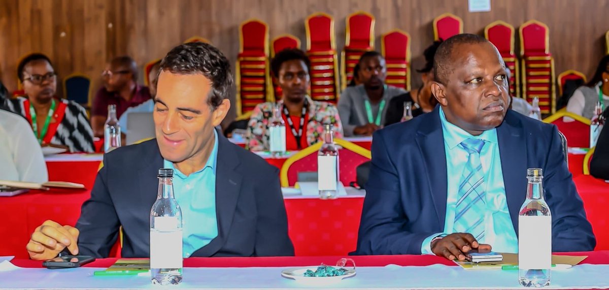 Director KISE tweet media