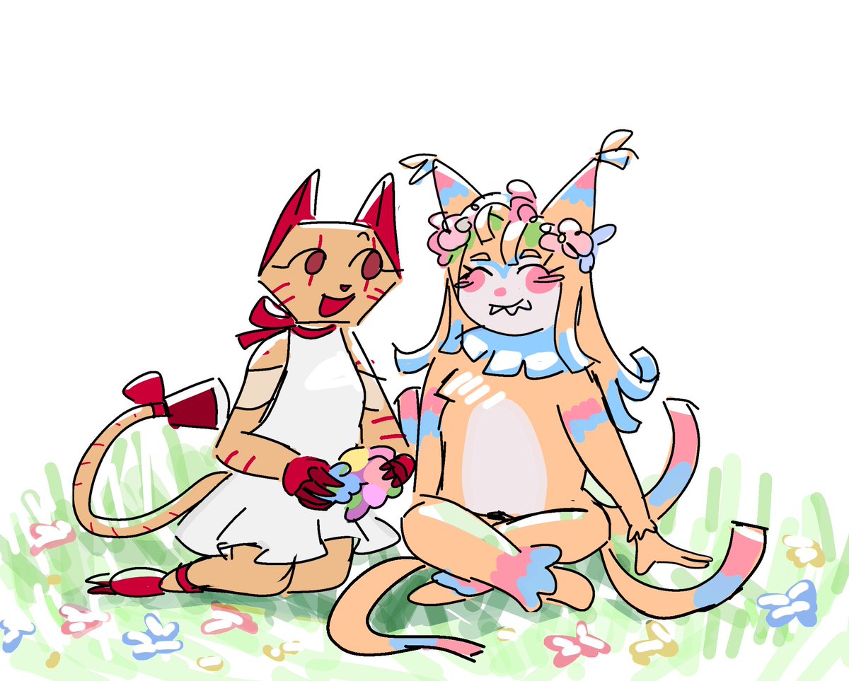 angelfish tweet media