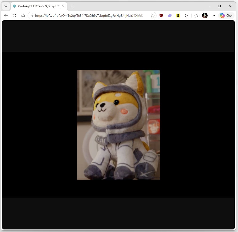 First Asteroid tweet media