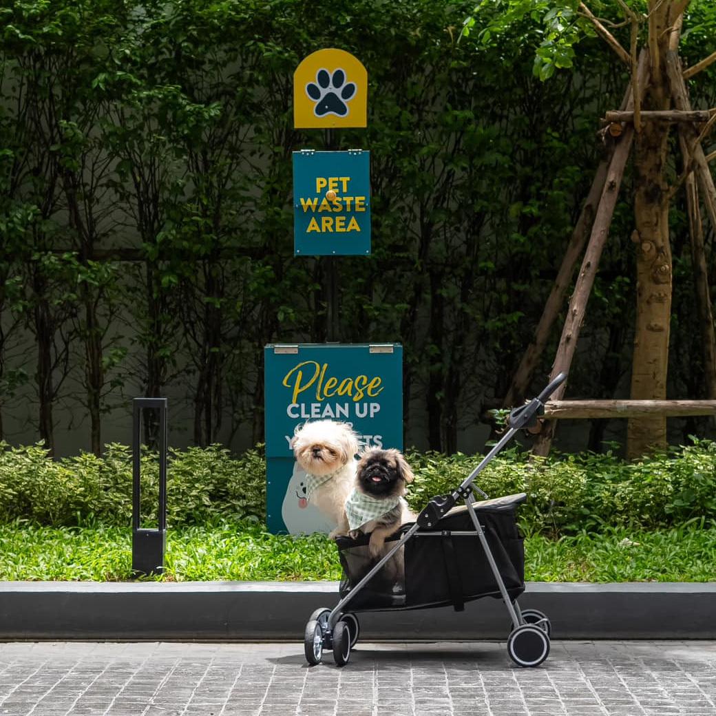 bbberrynet's tweet image. 🐶 รวม 61 ห้างหมาเข้าได้ กรุงเทพฯ

อัปเดต 2569 ล่าสุด  
มีเยอะกว่าที่คิดมาก!

👉 dogthailand.net/thread-66173-1…

#หมาเข้าได้ #PetFriendly #DogThailand